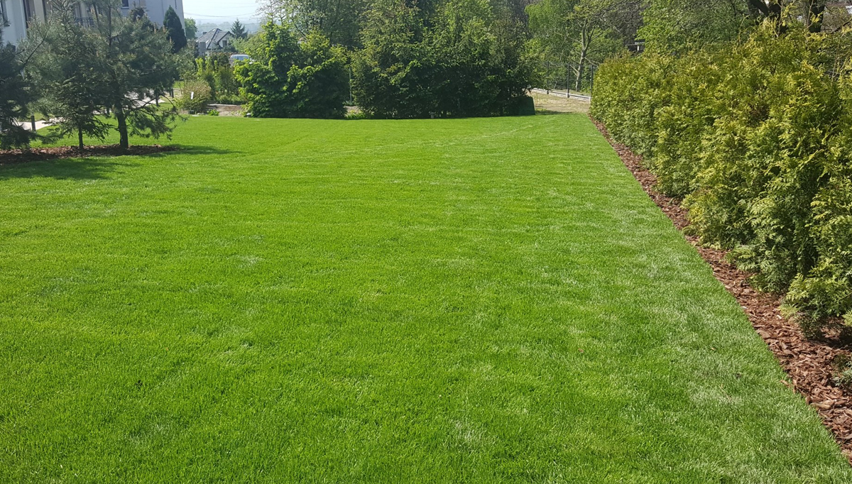 г. Ростов-на-Дону