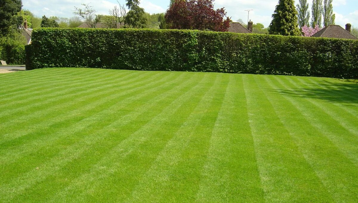 г. Ростов-на-Дону