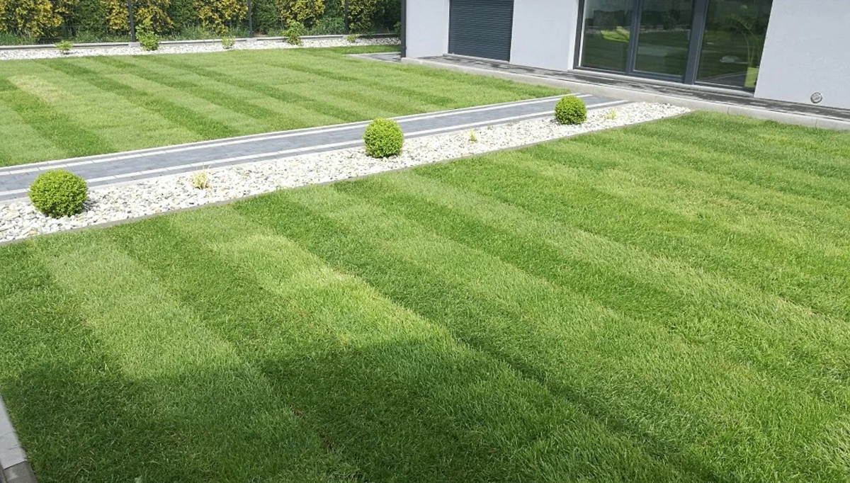 г. Таганрог